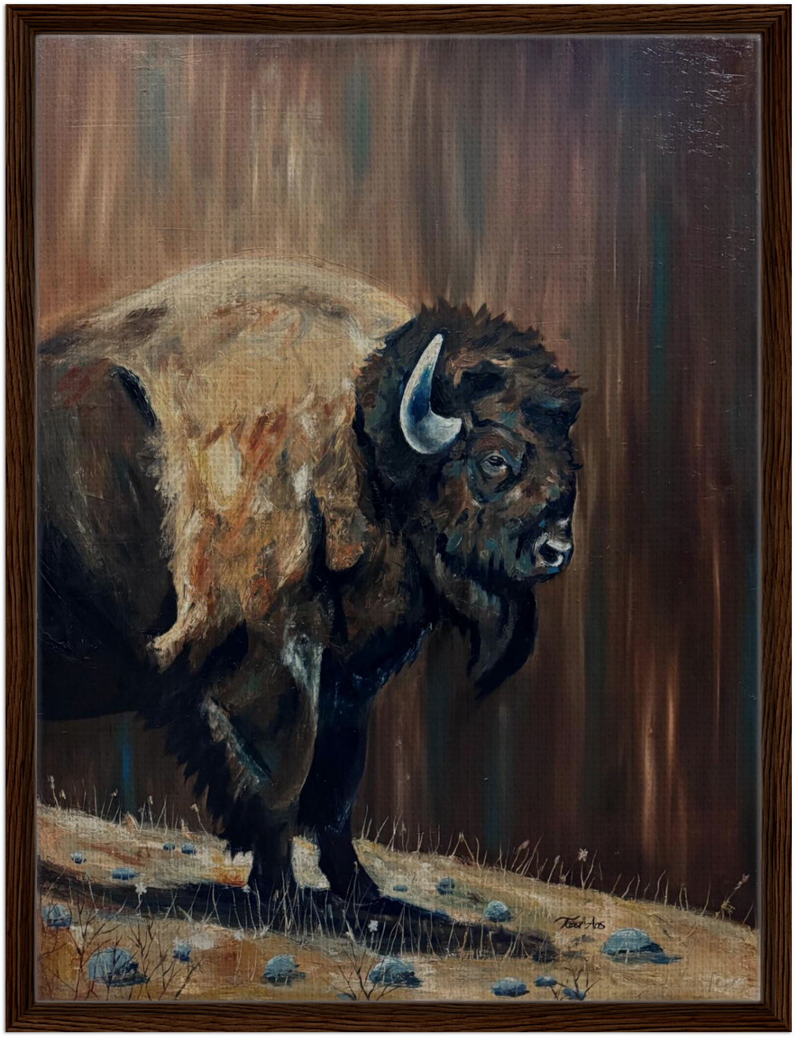 "Standing his Ground" Framed Buffalo Canvas Print